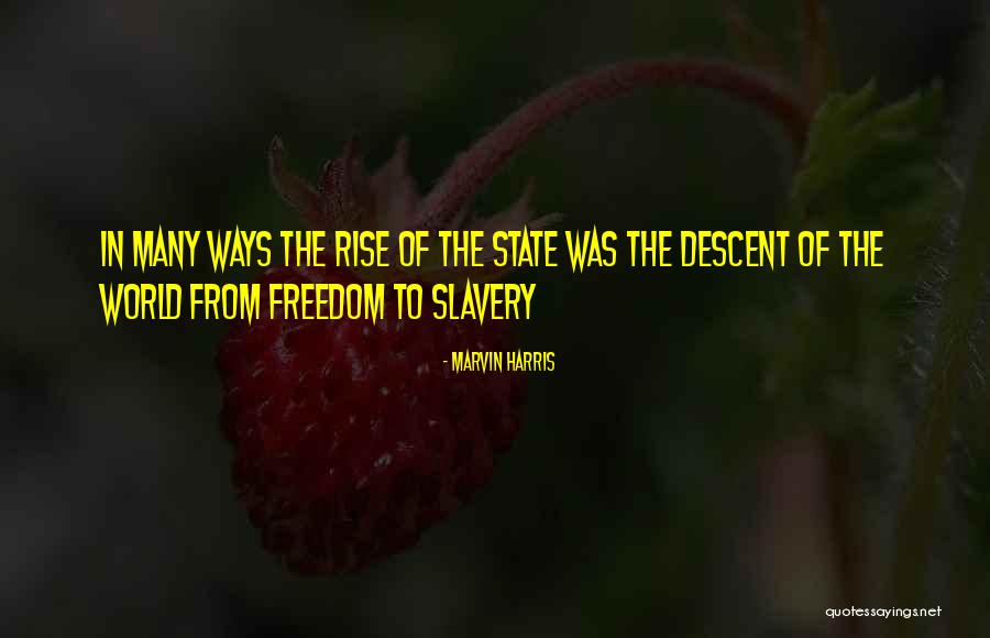 Chamizo Fietsen Quotes By Marvin Harris Chamizo Fietsen Quotes By Marvin Harris
