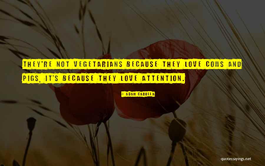 Chamlian Mms Quotes By Adam Carolla Chamlian Mms Quotes By Adam Carolla