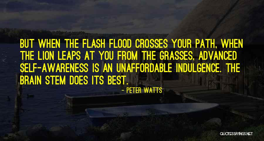 Chamoune Quotes By Peter Watts Chamoune Quotes By Peter Watts