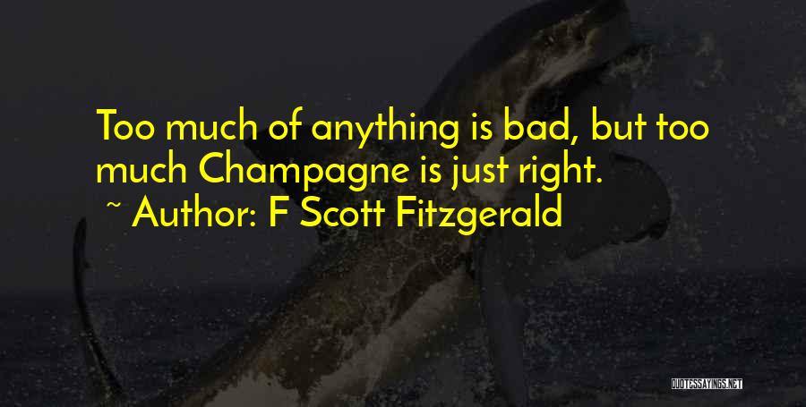 Champagne Drinking Quotes By F Scott Fitzgerald