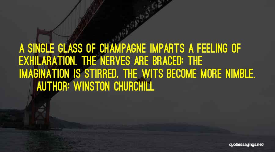 Champagne Drinking Quotes By Winston Churchill