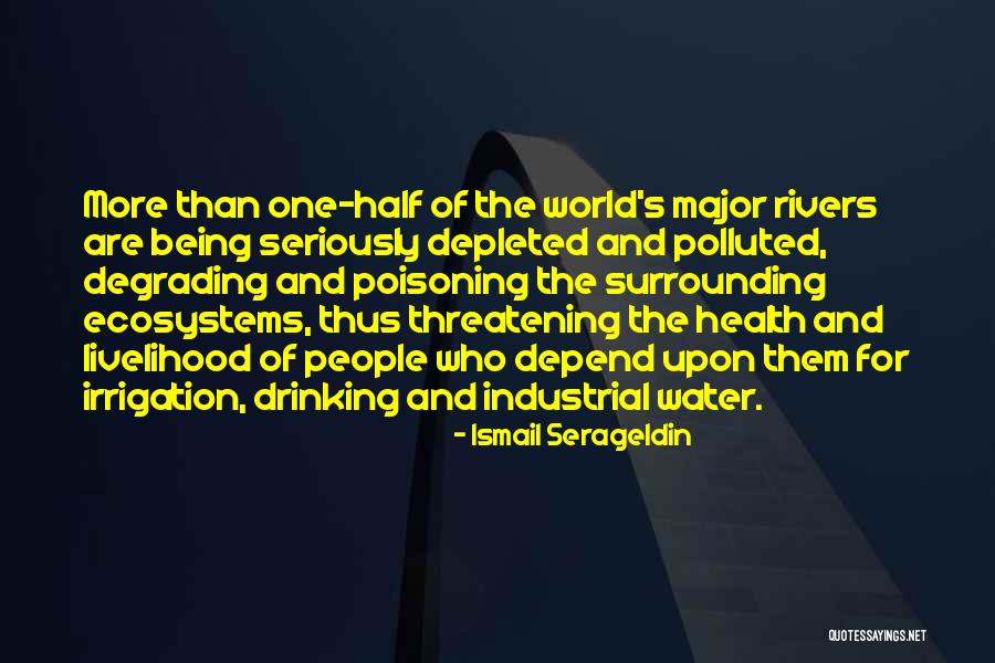Champagnes Quotes By Ismail Serageldin Champagnes Quotes By Ismail Serageldin