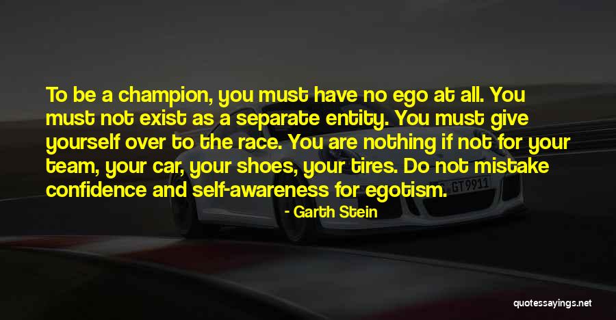 Champion Team Quotes By Garth Stein Champion Team Quotes By Garth Stein