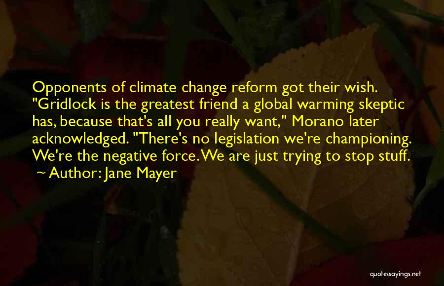 Championing Change Quotes By Jane Mayer