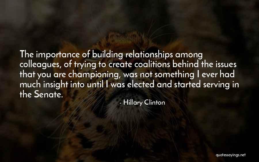 Championing Quotes By Hillary Clinton