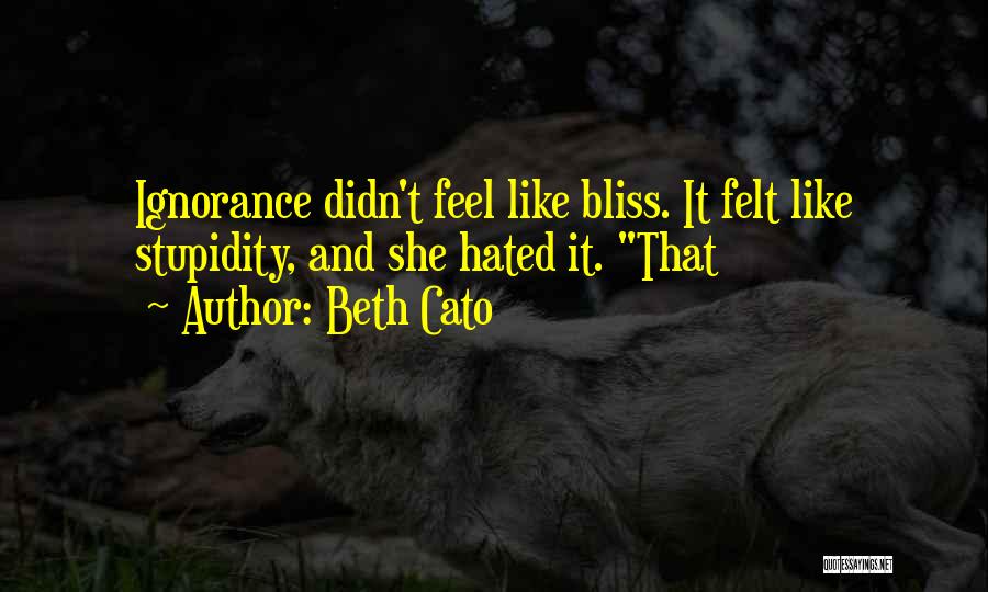 Chamsport Quotes By Beth Cato