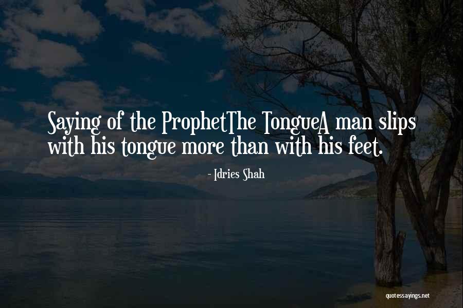Chamss Lmaearif Quotes By Idries Shah Chamss Lmaearif Quotes By Idries Shah