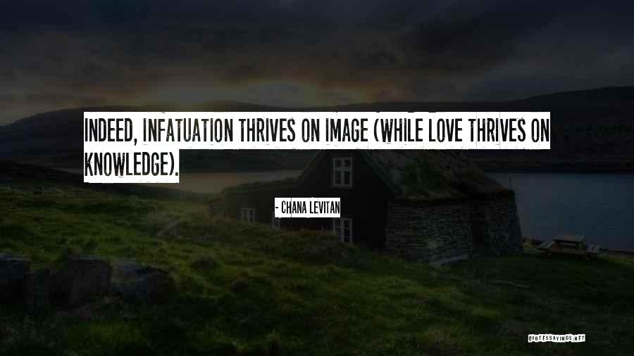 Chana Levitan Quotes 1053442 Chana Levitan Quotes 1053442