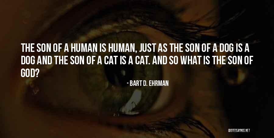 Chanbaek Quotes By Bart D. Ehrman Chanbaek Quotes By Bart D. Ehrman