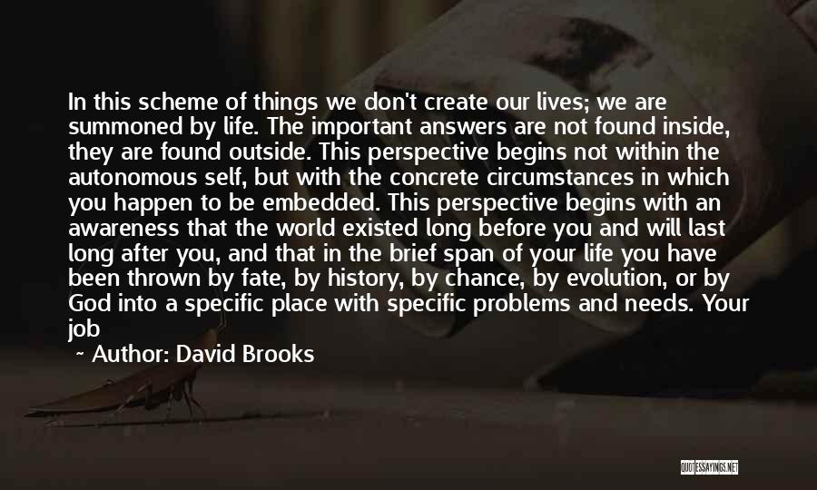 Chance And Fate Quotes By David Brooks