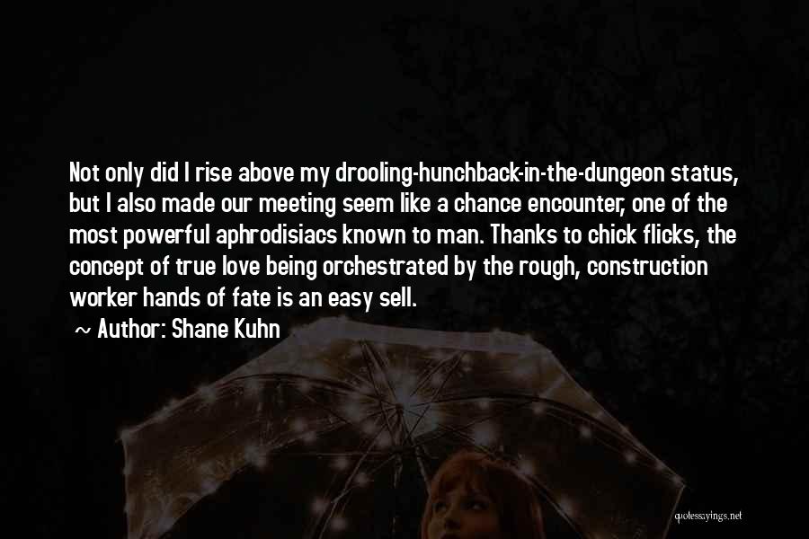 Chance Encounter Love Quotes By Shane Kuhn