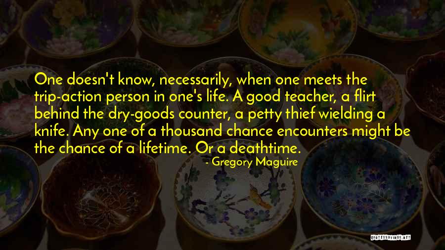 Chance Of A Lifetime Quotes By Gregory Maguire Chance Of A Lifetime Quotes By Gregory Maguire