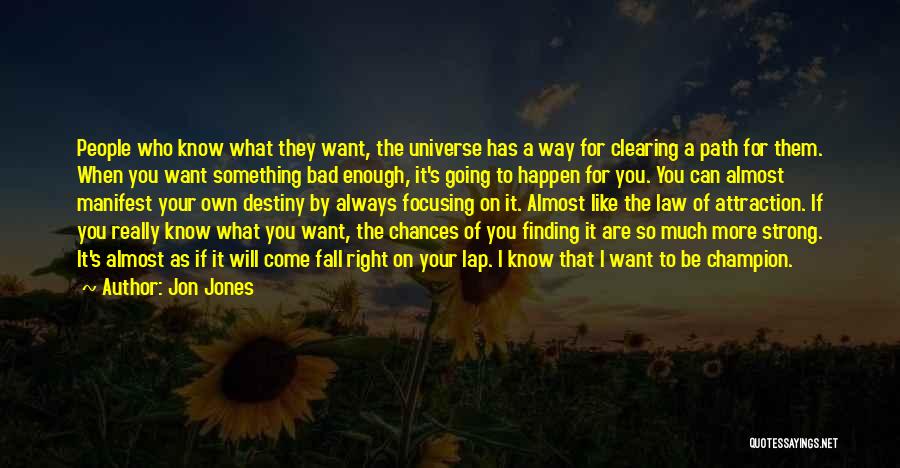 Chances And Destiny Quotes By Jon Jones