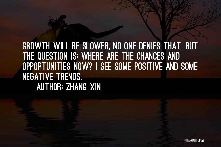 Chances And Opportunities Quotes By Zhang Xin