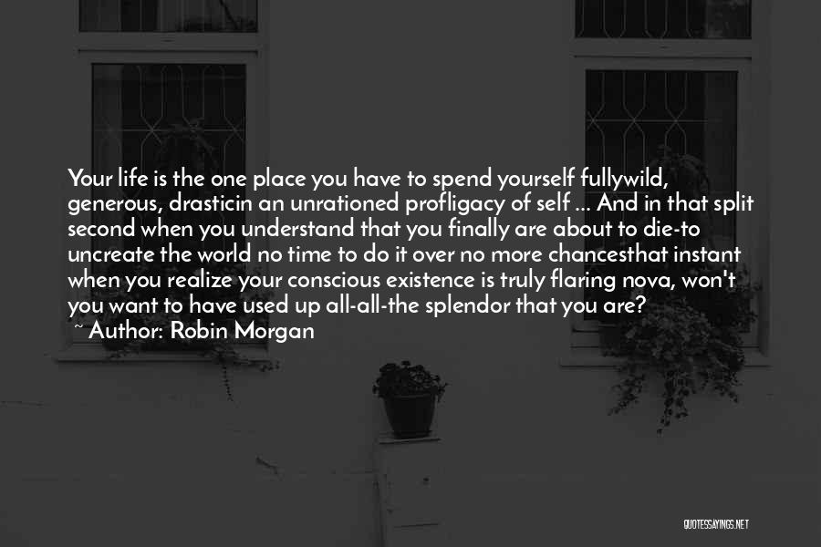 Chances In Life Quotes By Robin Morgan