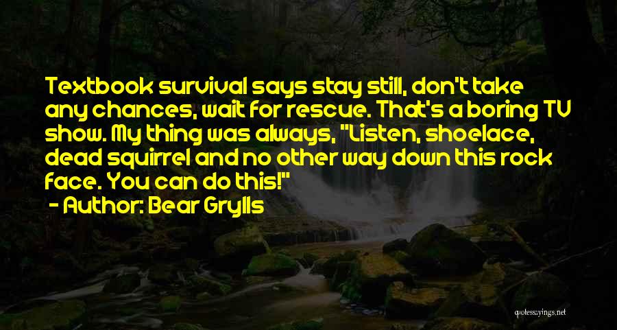 Chances You Don't Take Quotes By Bear Grylls