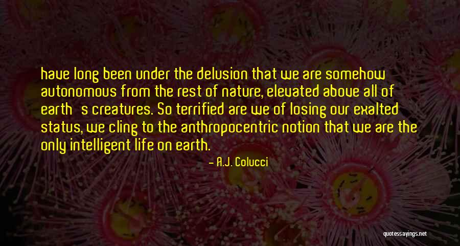 Chandos Roseville Quotes By A.J. Colucci Chandos Roseville Quotes By A.J. Colucci