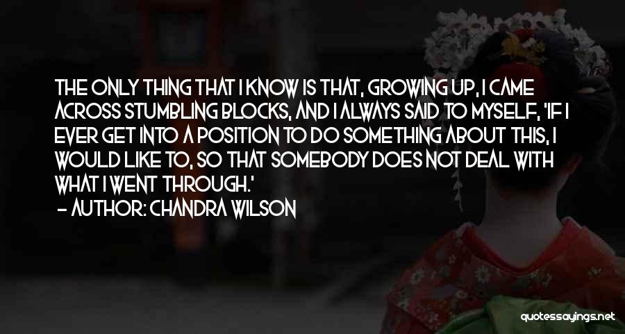 Chandra Wilson Quotes 1401309