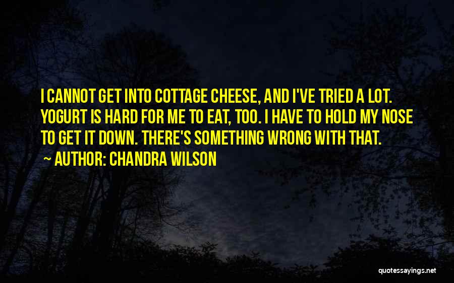 Chandra Wilson Quotes 206956