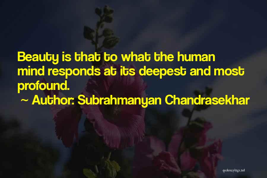 Chandrasekhar Quotes By Subrahmanyan Chandrasekhar