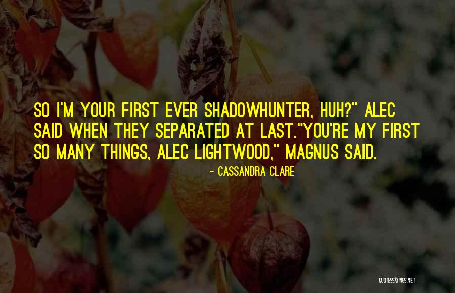 Chaneys Funeral Home Quotes By Cassandra Clare Chaneys Funeral Home Quotes By Cassandra Clare