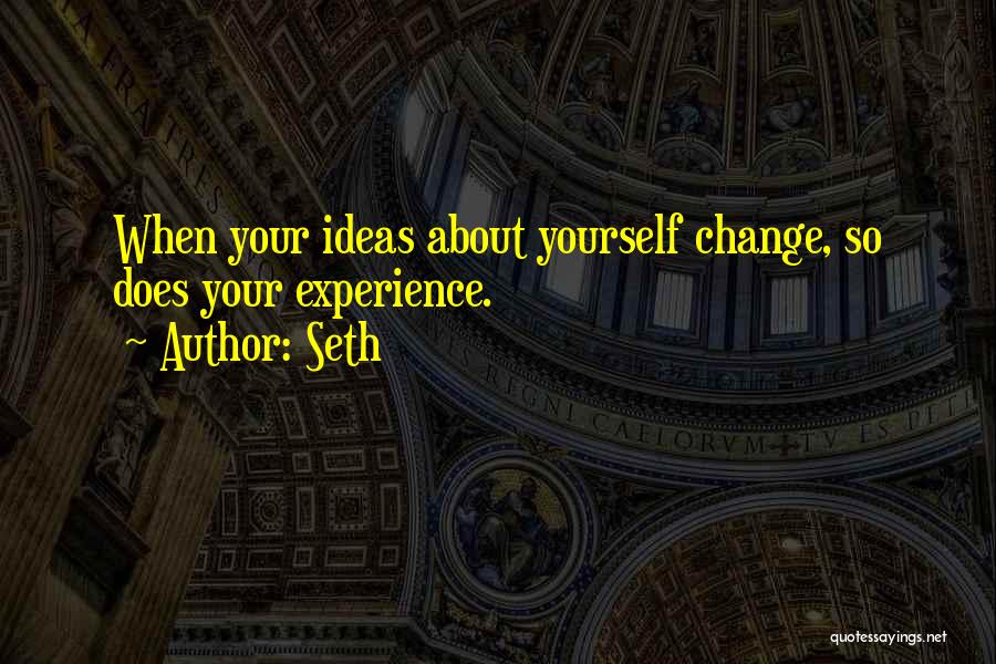 Change About Yourself Quotes By Seth