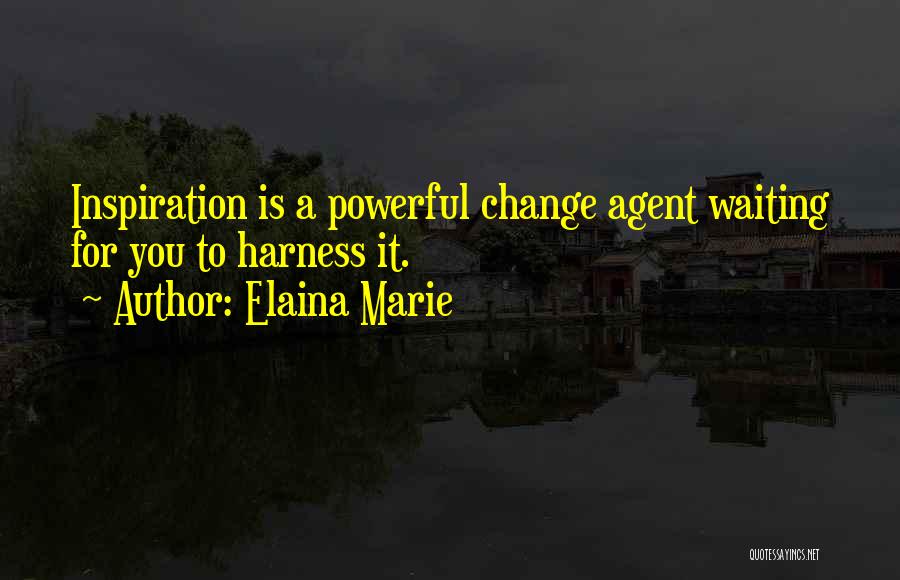 Change Agent Quotes By Elaina Marie