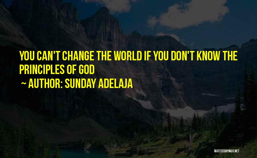 Change Agent Quotes By Sunday Adelaja