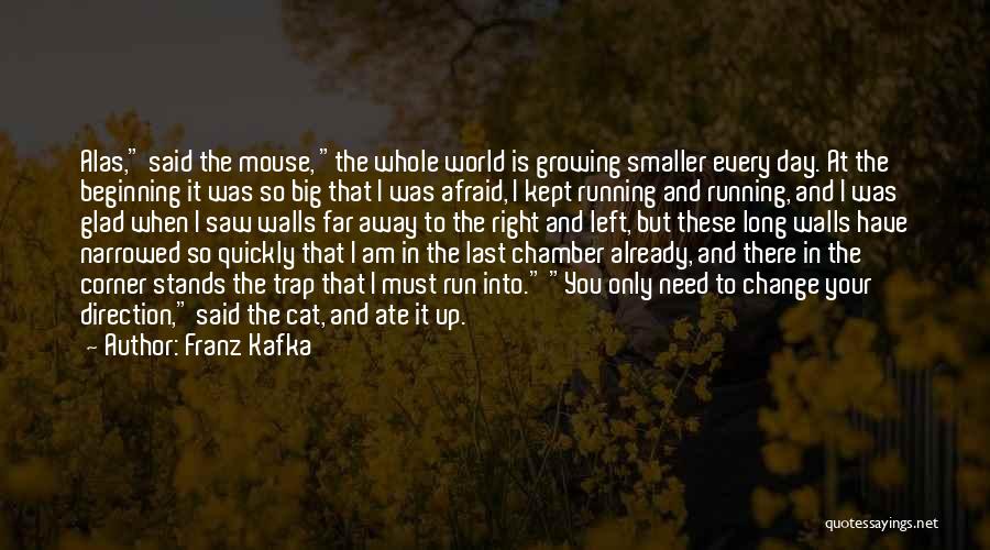 Change And Growing Up Quotes By Franz Kafka