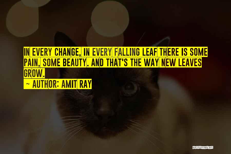 Change And Pain Quotes By Amit Ray