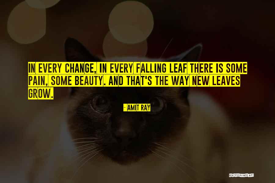 Change And Pain Quotes By Amit Ray