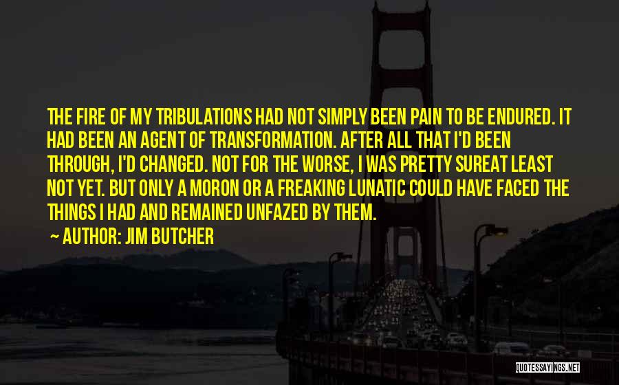 Change And Pain Quotes By Jim Butcher