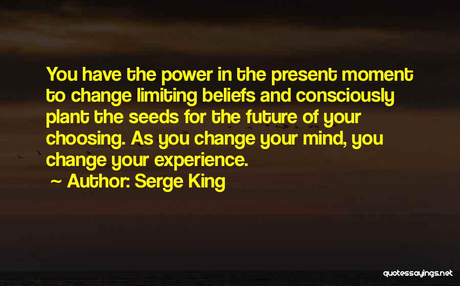 Change And The Future Quotes By Serge King