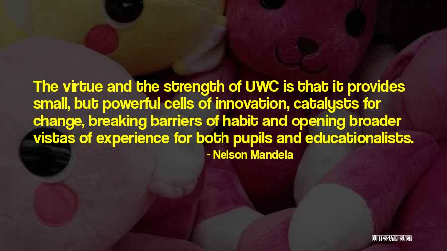 Change Catalyst Quotes By Nelson Mandela Change Catalyst Quotes By Nelson Mandela