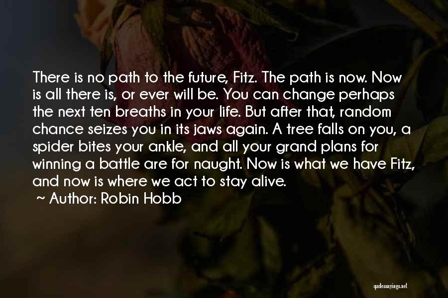 Change For Future Quotes By Robin Hobb