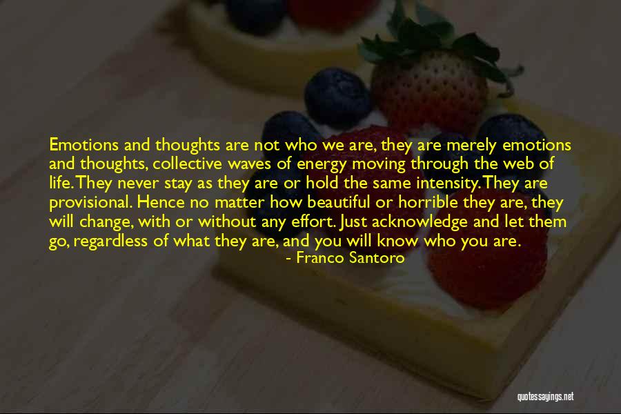 Change In Life And Moving On Quotes By Franco Santoro