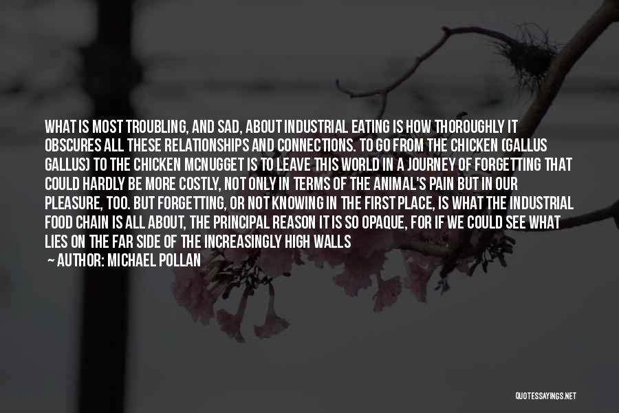 Change In Relationships Quotes By Michael Pollan