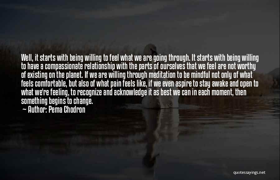 Change In The Relationship Quotes By Pema Chodron