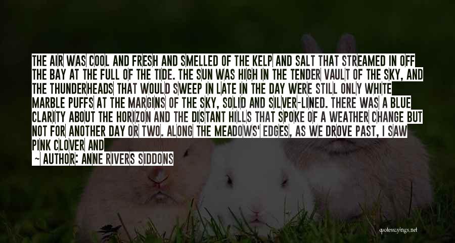 Change In The Weather Quotes By Anne Rivers Siddons