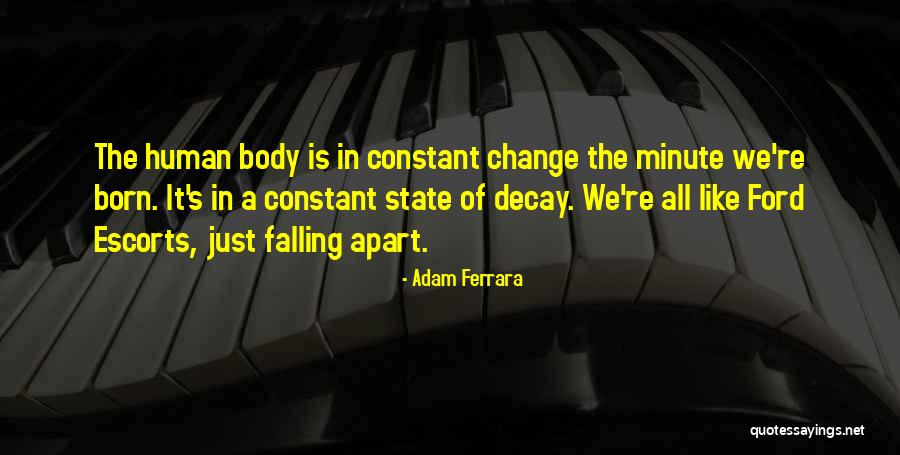 Change In Things Fall Apart Quotes By Adam Ferrara