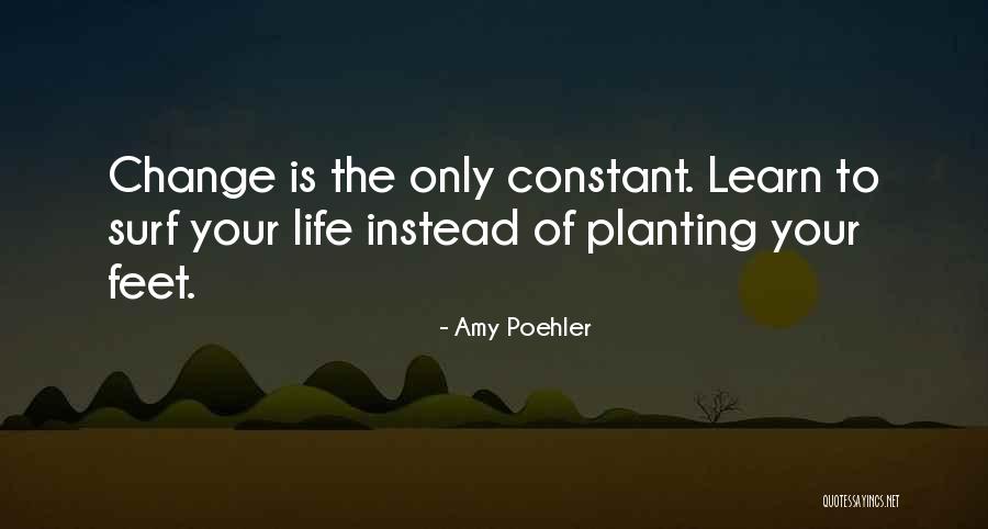 Change Is Constant Quotes By Amy Poehler