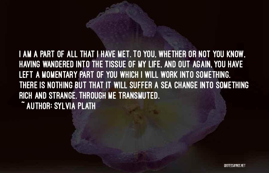 Change Is Part Of Life Quotes By Sylvia Plath