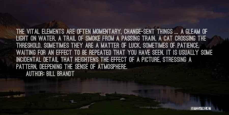 Change Is Vital Quotes By Bill Brandt