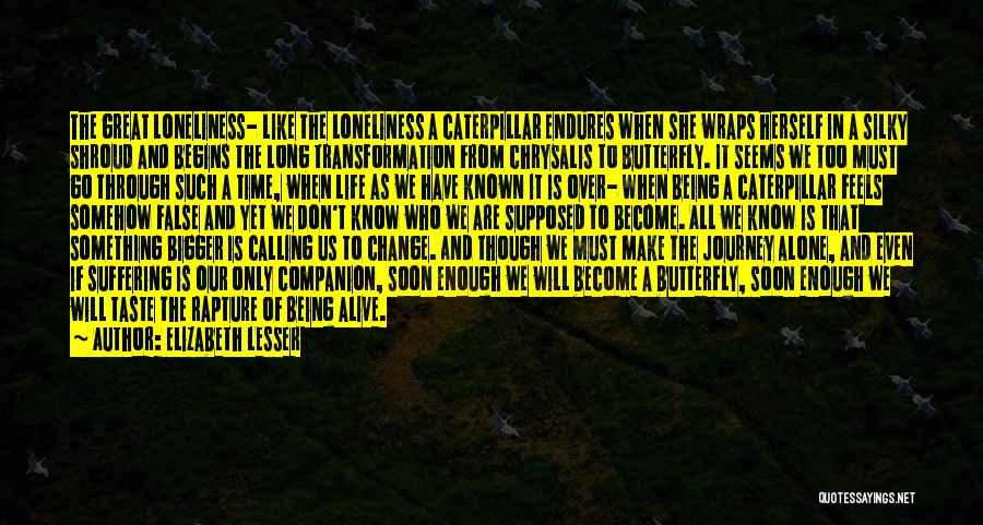 Change Like A Butterfly Quotes By Elizabeth Lesser