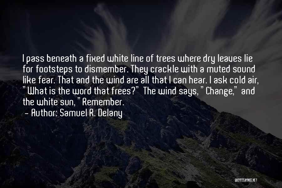 Change Like The Wind Quotes By Samuel R. Delany