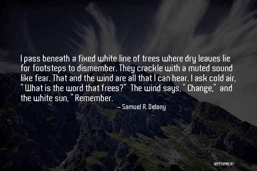 Change Like The Wind Quotes By Samuel R. Delany Change Like The Wind Quotes By Samuel R. Delany