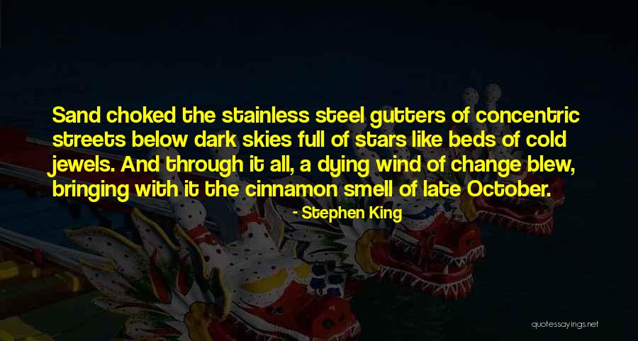 Change Like The Wind Quotes By Stephen King