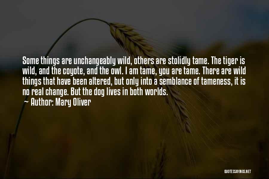 Change Mary Oliver Quotes By Mary Oliver