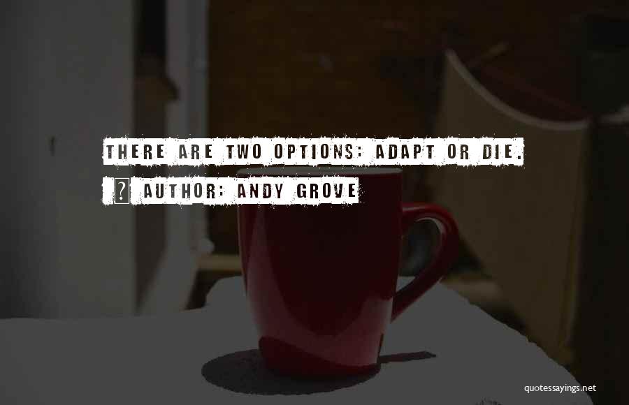 Change Or Die Quotes By Andy Grove