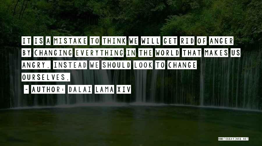 Change Ourselves Quotes By Dalai Lama XIV